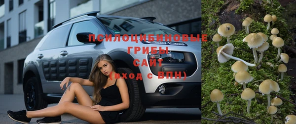 шишки Алзамай