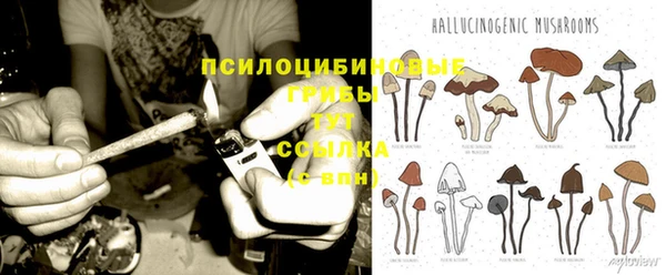 стафф Алексеевка