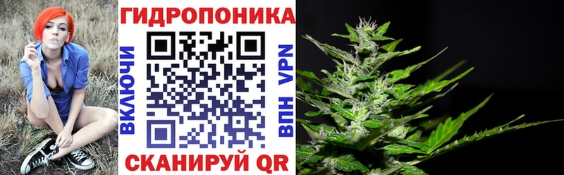 Каннабис Bruce Banner  Исилькуль 